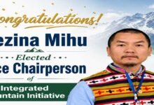 Rezina Mihu Elected Vice Chairperson of Integrated Mountain Initiative﻿