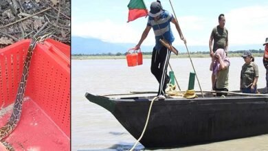 Silluk Villagers Save Python, Urge Protection of Wildlife Over Retaliation