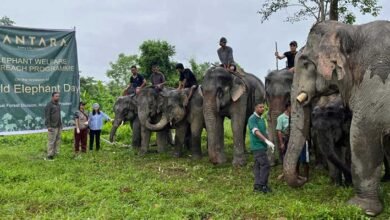 Vantara Expands Elephant Welfare Outreach Across India on World Elephant Day﻿