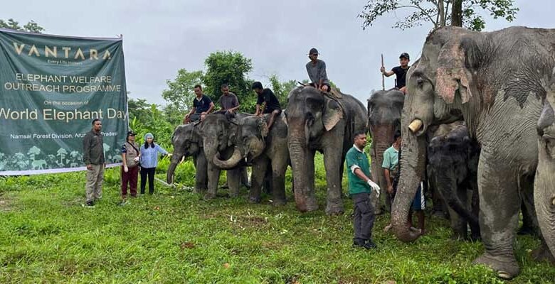 Vantara Expands Elephant Welfare Outreach Across India on World Elephant Day﻿