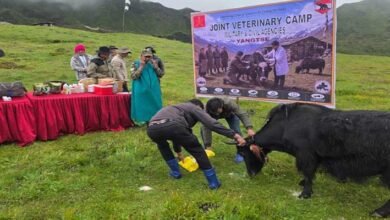Yak Vaccination Drive Against FMD Begins at 15,400 Feet in Tawang