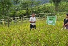 KVK Anjaw Conducts Crop Survey in Hawai Circle