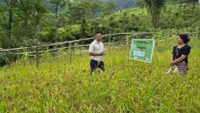 KVK Anjaw Conducts Crop Survey in Hawai Circle