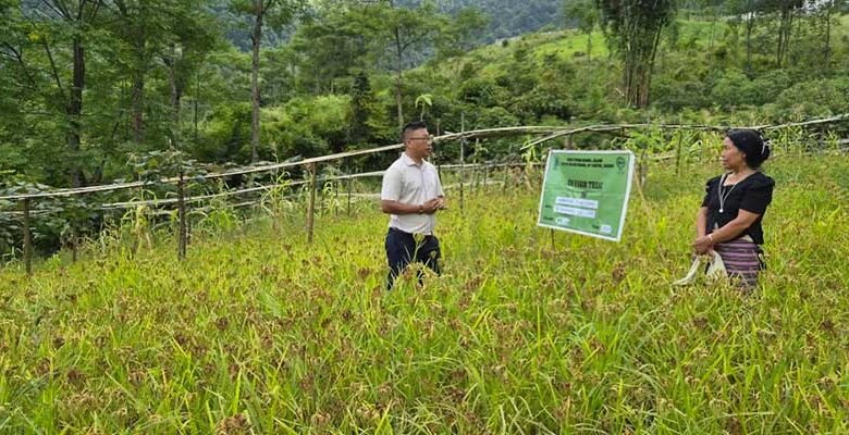 KVK Anjaw Conducts Crop Survey in Hawai Circle