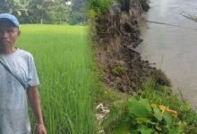Borguli Villagers Urge Government for Long-Term Flood and Erosion Protection