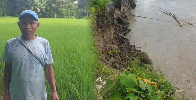 Borguli Villagers Urge Government for Long-Term Flood and Erosion Protection