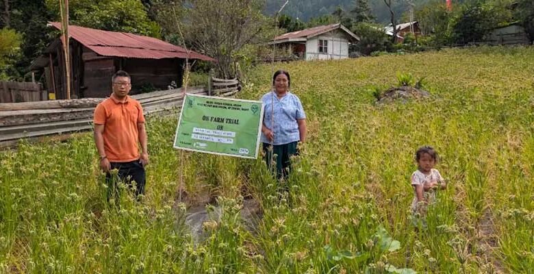 KVK Anjaw Conducts Two-Day Field Monitoring Programme in Kibithoo