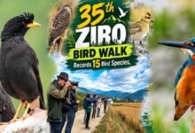 35th Ziro Bird Walk Records 15 Bird Species