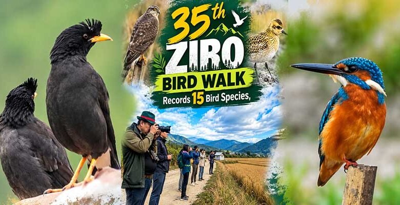 35th Ziro Bird Walk Records 15 Bird Species
