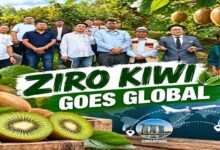 Arunachal’s Ziro Kiwi Targets Singapore and Dubai Markets