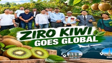 Arunachal’s Ziro Kiwi Targets Singapore and Dubai Markets