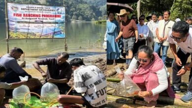 Arunachal: Fish Ranching Programme Launched at Ranganadi Reservoir in Yazali﻿