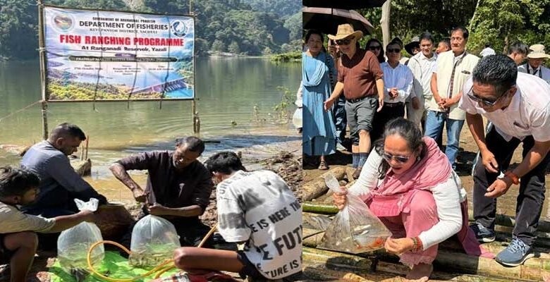 Arunachal: Fish Ranching Programme Launched at Ranganadi Reservoir in Yazali﻿
