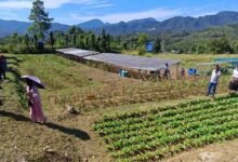 ICAR Basar Promotes Diversified Vegetable Farming and Soil Conservation in Leparada﻿