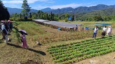 ICAR Basar Promotes Diversified Vegetable Farming and Soil Conservation in Leparada﻿