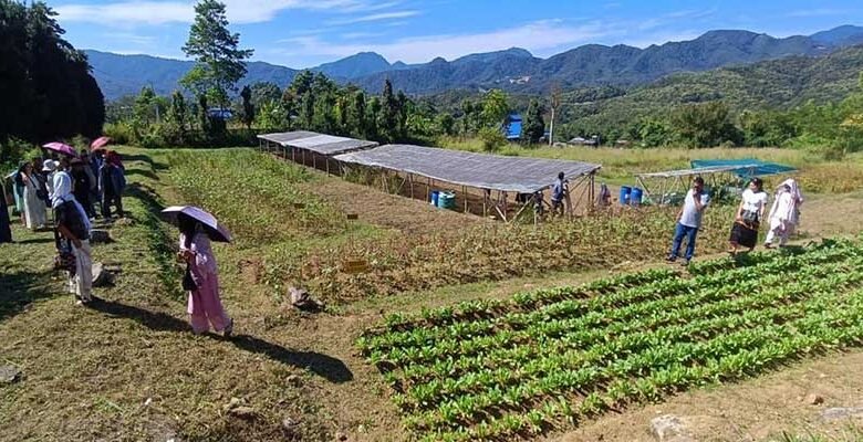 ICAR Basar Promotes Diversified Vegetable Farming and Soil Conservation in Leparada﻿