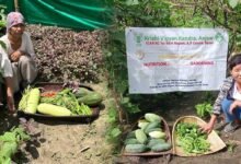 KVK Anjaw Promotes Kitchen Gardens to Strengthen Household Food Security﻿