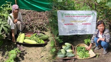 KVK Anjaw Promotes Kitchen Gardens to Strengthen Household Food Security﻿