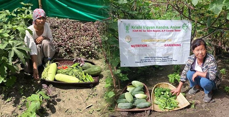 KVK Anjaw Promotes Kitchen Gardens to Strengthen Household Food Security﻿
