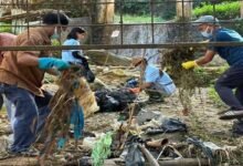 Over 2,000 Kg of Waste Removed from Yagamso River in Itanagar Clean-Up Drive﻿