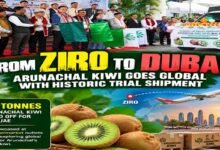 From Ziro to Dubai: Arunachal Flags Off 1.5-Tonne Kiwi Shipment