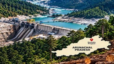 NHPC Seeks Forest Clearance for Kamala Hydel Project; 23.4 Lakh Trees Face Felling
