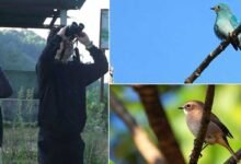 First-Ever Keyi Panyor Bird Count Records 38 Species in Two Hours﻿