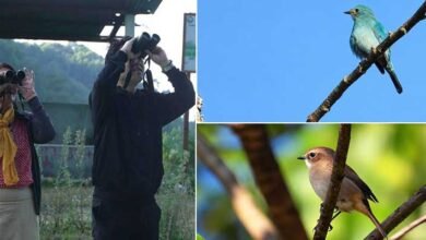 First-Ever Keyi Panyor Bird Count Records 38 Species in Two Hours﻿
