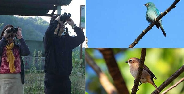 First-Ever Keyi Panyor Bird Count Records 38 Species in Two Hours﻿