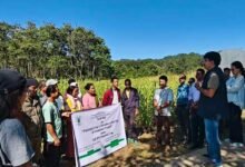 ICAR Basar Field Day Promotes Potential Crops for Mid-Hill Farmers﻿
