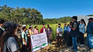 ICAR Basar Field Day Promotes Potential Crops for Mid-Hill Farmers﻿