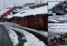 Early Snowfall Blankets Nathu La and Gnathang Valley in East Sikkim﻿