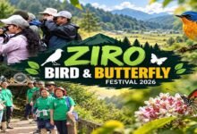 Ziro Concludes First Bird and Butterfly Festival with 630 Participants﻿